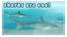 A stamp saying sharks are cool