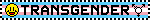 Another wide image of the trans flag, but with yellow smiley faces and the trans symbol